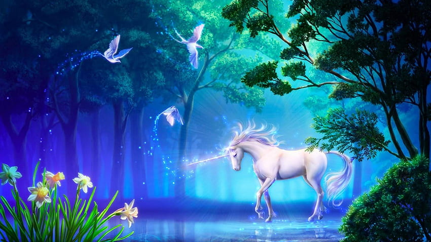 unicorn and magic birds Mythical Creatures [] for your , Mobile & Tablet. Explore Mythical . Mythical Creatures , Greek Mythology , Cyclops, Beautiful Mythical HD wallpaper