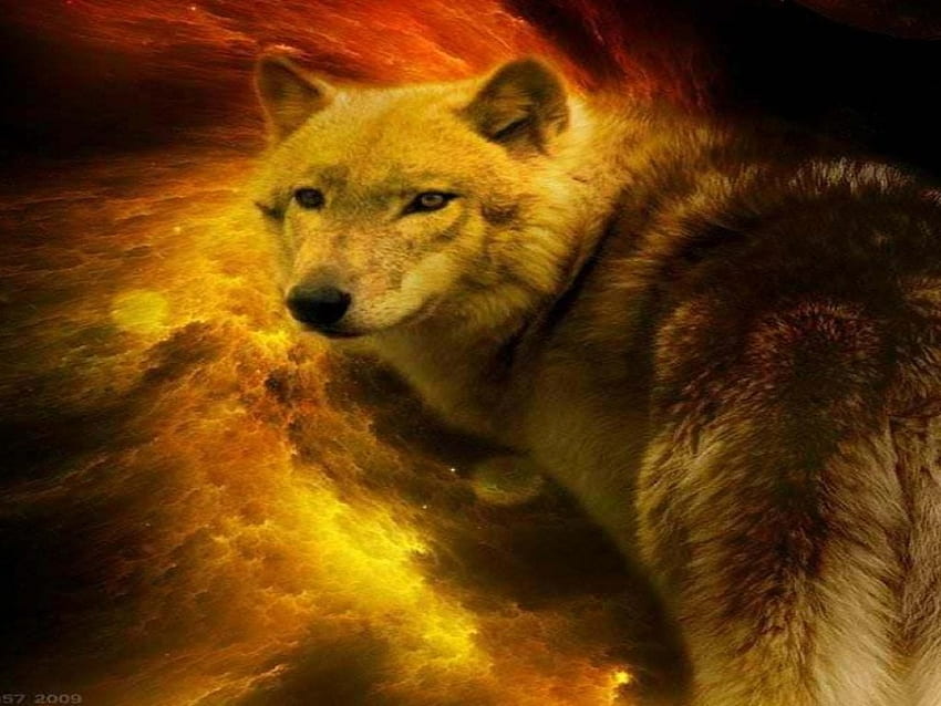 Wolf Of Autumn, abstract, fantasy, animals, dogs, wolf HD wallpaper ...