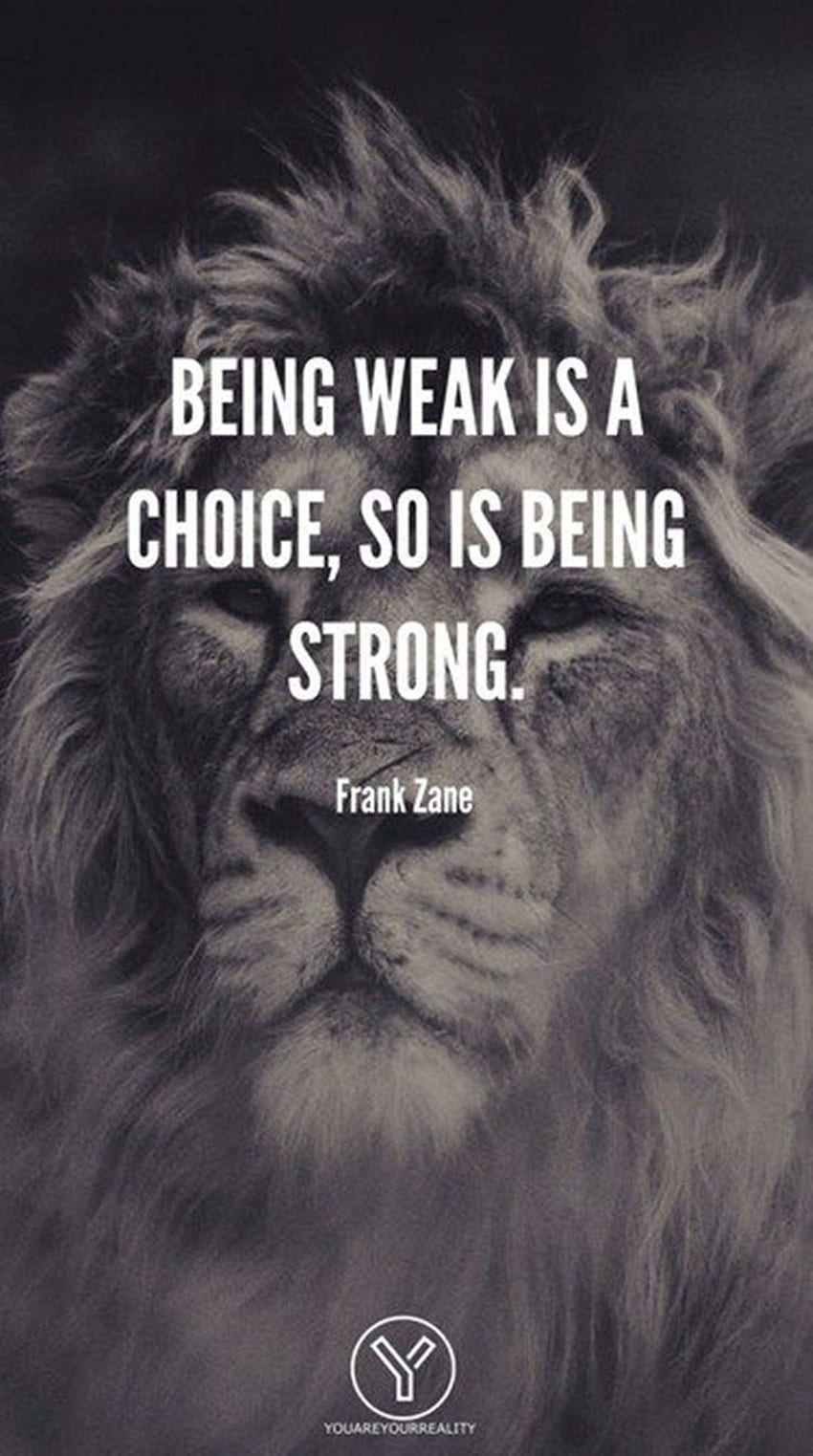 Motivational & Inspirational Quotes. Inspirational quotes, Lion Quotes HD phone wallpaper