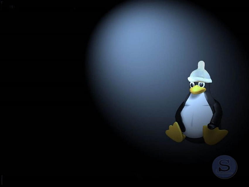 Tux Penguin Linux Slackware O novo cenário para o Slack papel de parede HD
