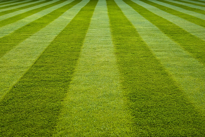 Nature, Grass, Field, Stadium HD wallpaper