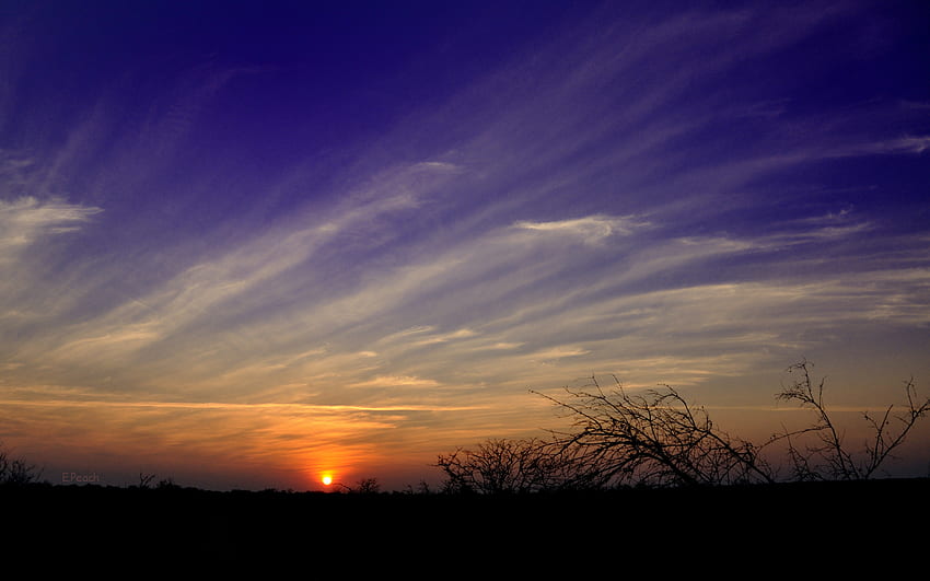 Mopani Sunset, kruger park, south africa, kruger, sun, sunset HD wallpaper