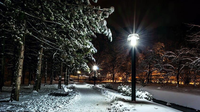 Winter Night, bench, town, lamps, snow, street, trees HD wallpaper