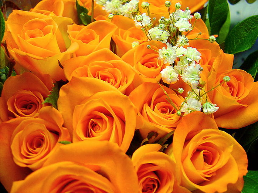 Autumn roses for my D.N. friends, bouquet, roses, green, flowers, orange HD wallpaper