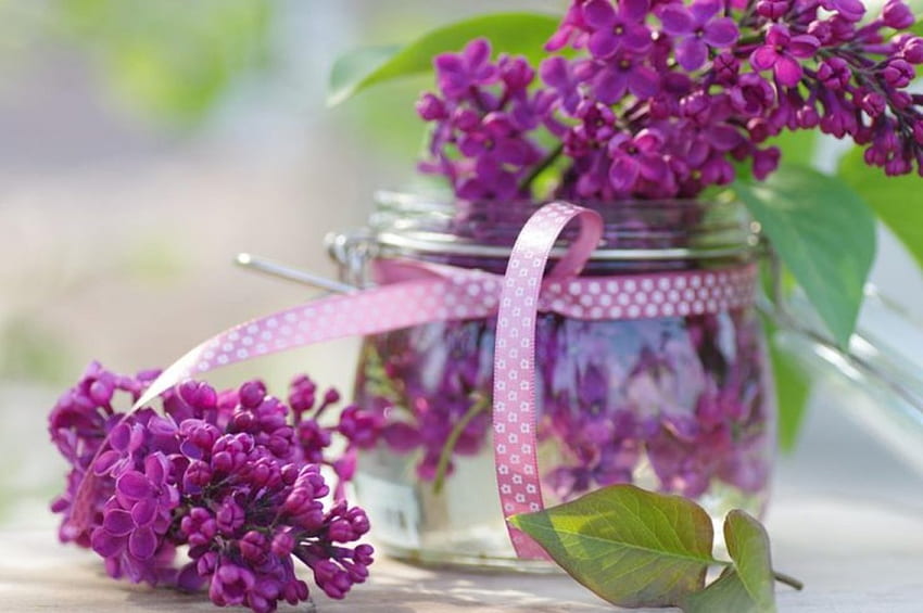 Purple Flowers, liliac, purple, still life, home style, vase, flowers HD wallpaper