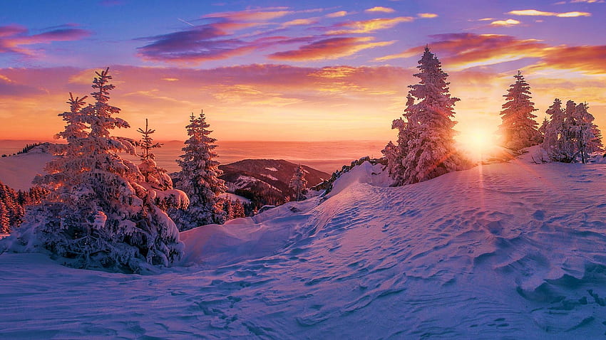 Matahari Terbenam Musim Dingin Di Finlandia Utara, langit, salju, warna, lanskap, pepohonan, awan Wallpaper HD