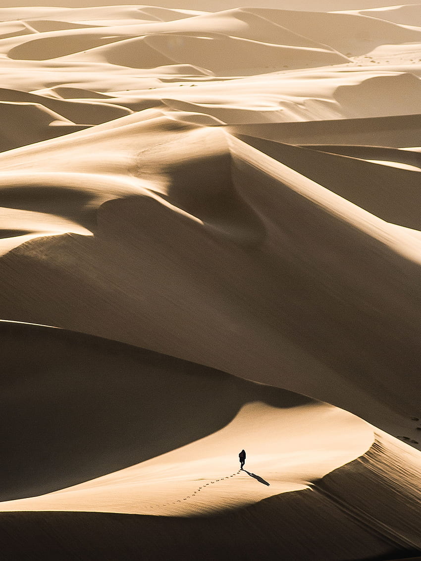 Alone, Nature, Sand, Desert, Silhouette, Lonely, Dunes, Wanderer, Links HD phone wallpaper