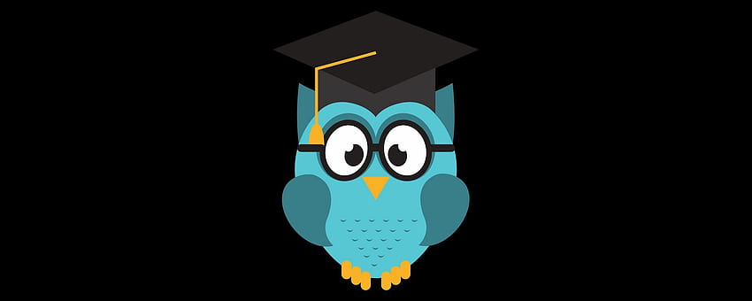 owl, hat, student, art, vector HD wallpaper