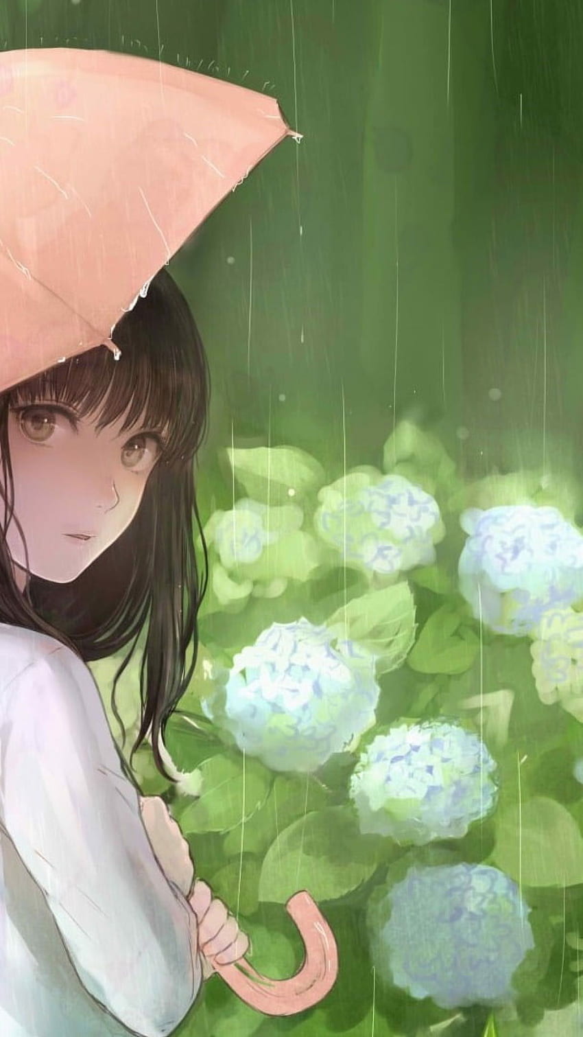 Anime anime girls digital art artwork 2D portrait Sakura Yuki flowers  HD phone wallpaper  Peakpx