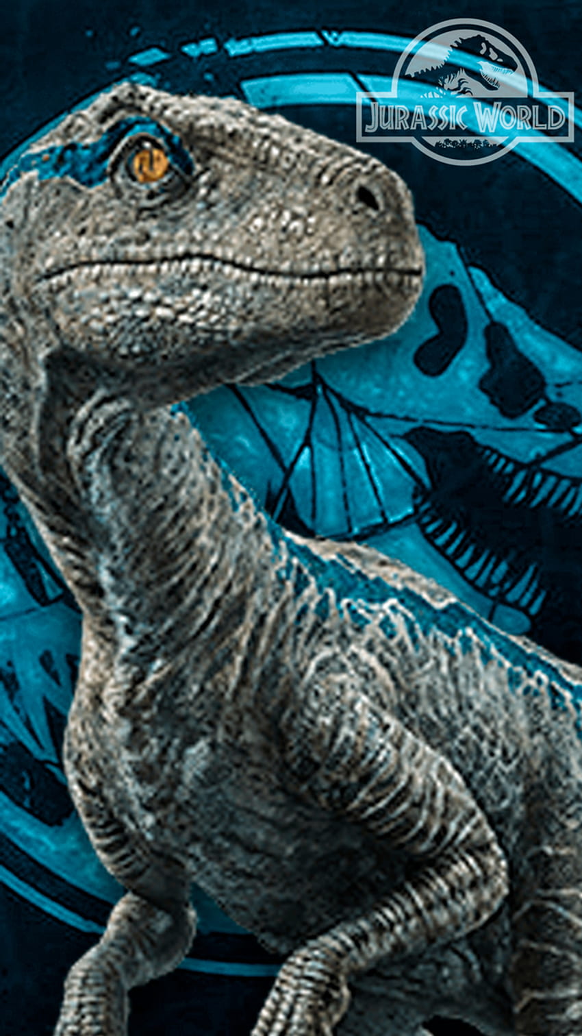 Blue the raptor wallpaper