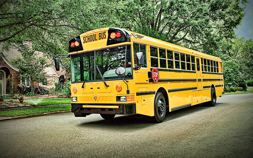 IC Bus RE School Bus, R, улица, 2010 автобус, пътнически транспорт, училищен автобус, САЩ HD тапет