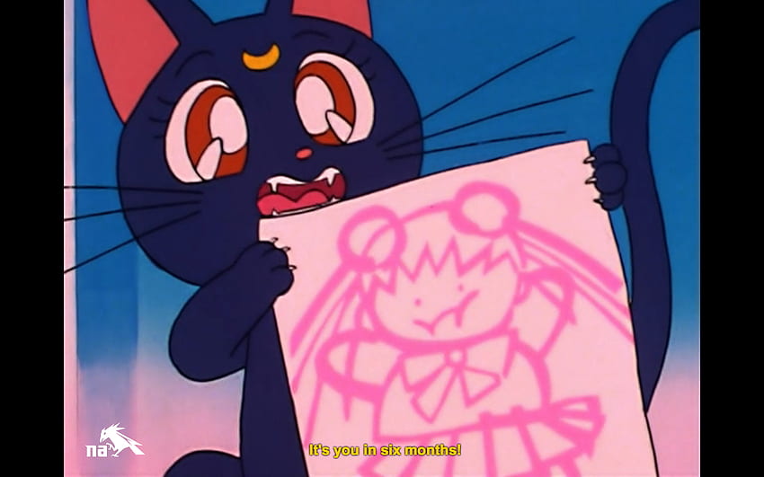 Capturas De De Los Episodios Y De Sailor Moon Los Gatos Mary Sue Sailor Moon Fondo De