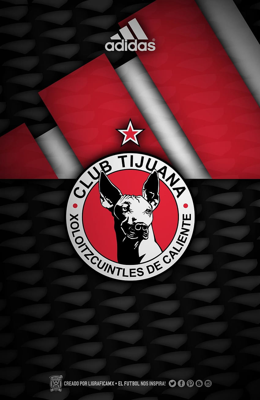 X 上的 ¡El futbol nos inspira!：「#Wallpaper - ¡El Futbol Nos Inspira! #LigaMX  ••• @Xolos https://t.co/Y0jR6j02FW」 / X