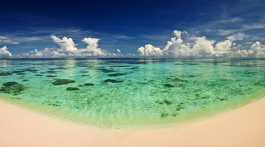Clear Water Beach, horizon, cenic, awesome, , cena, reflections, artistic, nice, beach, scenery, coral reefs, scenario, beije, white, art, landscape, paradise, panorama, cenario, shell, ripples, green, heaven, view, nature, , paisage, beachescape, blue, sand, graphy, oceanscape, waterscape, beauty, seascape, amazing, , paysage, water, scene, beautiful, artwork, clear waters, hop, paisagem, cool, clouds, sky HD wallpaper