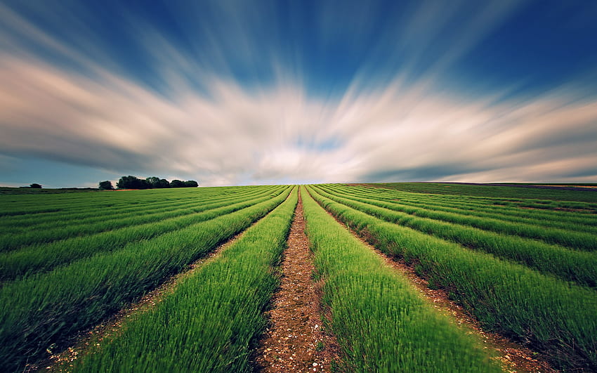 Landwirtschaft HD-Hintergrundbild