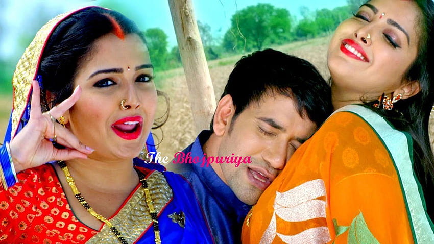 Aktris Amrapali Dubey - Film Raja Babu Bhojpuri - - teahub.io Wallpaper HD