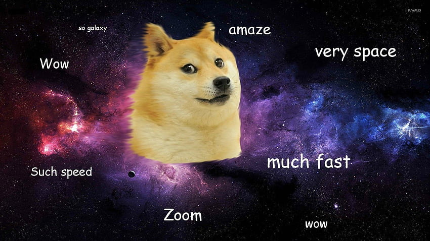Doge, Weltraumhund HD-Hintergrundbild