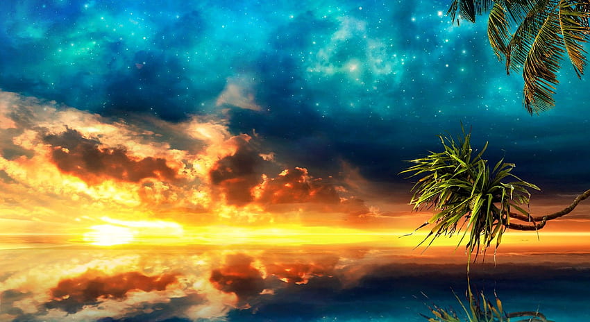 Puestas de Sol: Trópico Tarde Mar Sol Estrellas Océano Naturaleza Palma, Caribe Noche fondo de pantalla