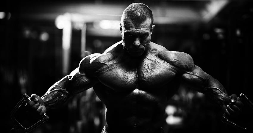body building, Fitness, Muscle, Muscles, Weight, Lifting, Bodybuilding, 6 / and Mobile Background HD wallpaper