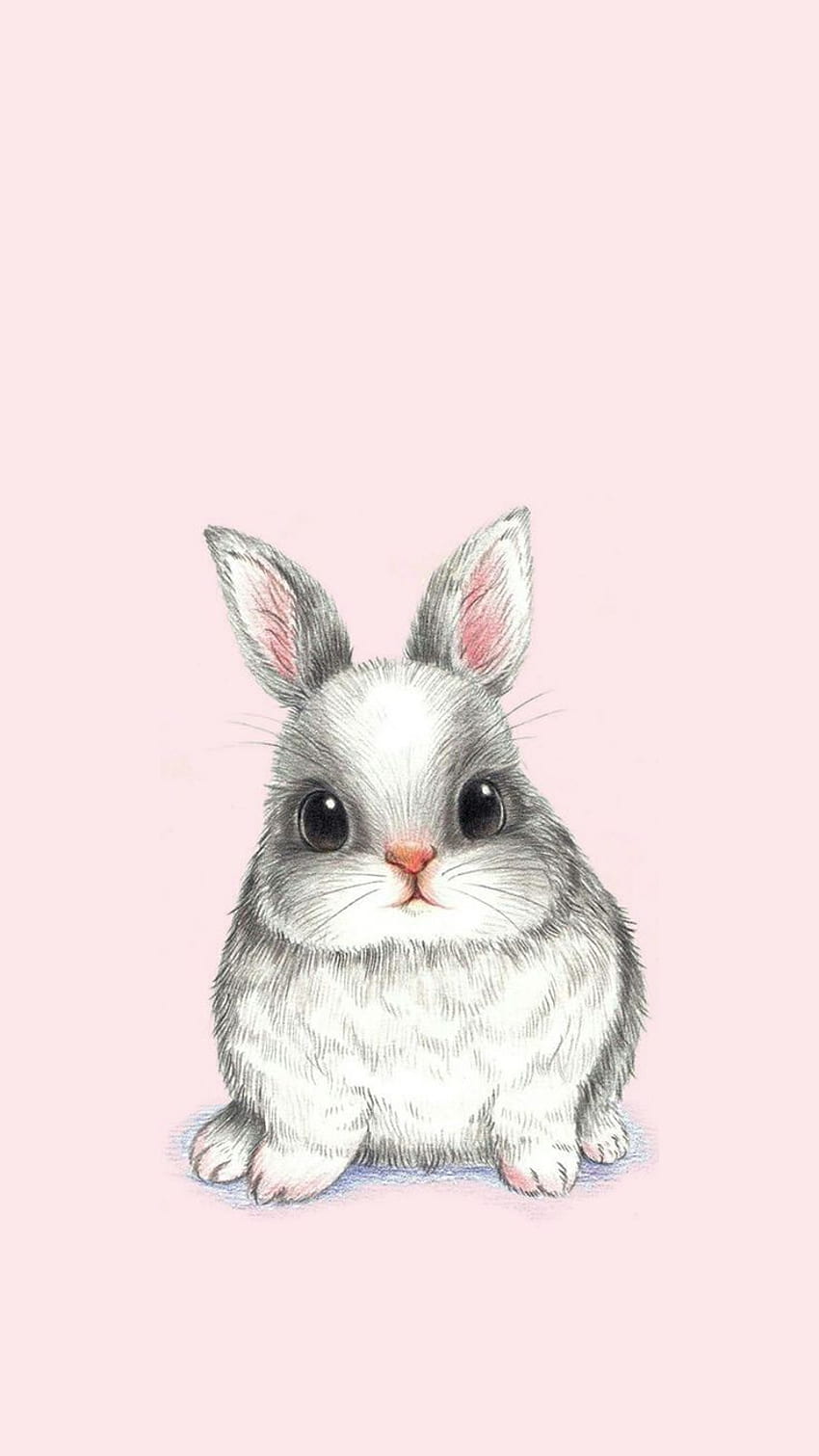Healing . Cute and lovely When in girlhood my heart was opening its petals, you hovered as a fr. Cute animal drawings, Bunny , Rabbit HD phone wallpaper