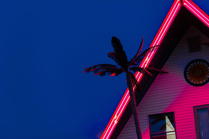 Palm, Neon, Illumination, Backlight, Roof HD wallpaper
