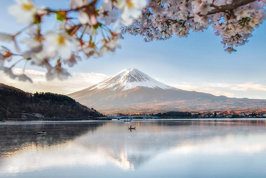 Mount Fuji, Japan, blossoms, landscape, volcano, spring, lake, tree HD wallpaper