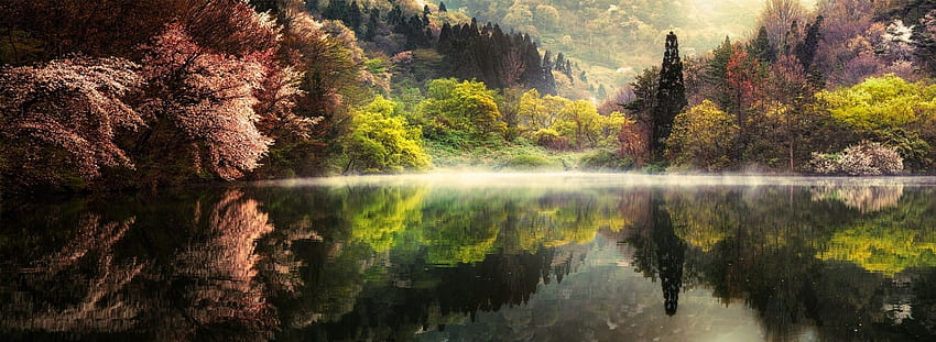 Natur, Landschaft, Frühling, See, Morgen, Wald, Nebel, Bäume, Wasser, Spiegelung, Berg, Südkorea / und mobiler Hintergrund, Spring Lake HD-Hintergrundbild