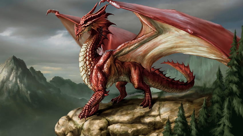 Naga Merah, Naga Welsh Wallpaper HD