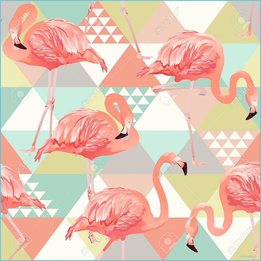Pink Flamingo가 비즈니스를 개선할 수 있는 방법, Pink Flamingo 노트북 HD 전화 배경 화면