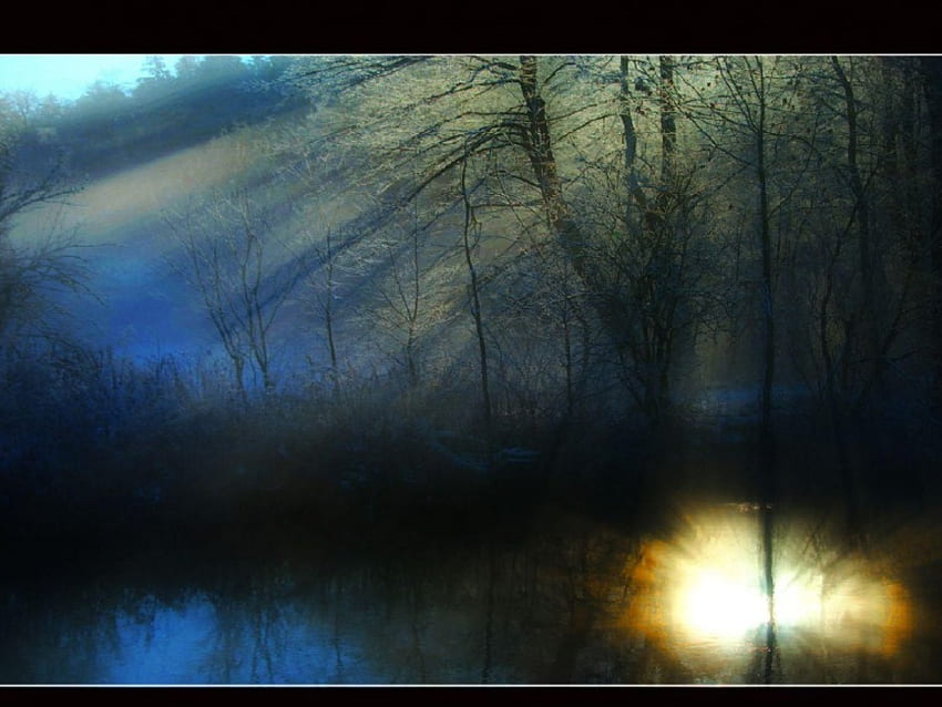 misty dark lake, misty, dark, lake HD wallpaper