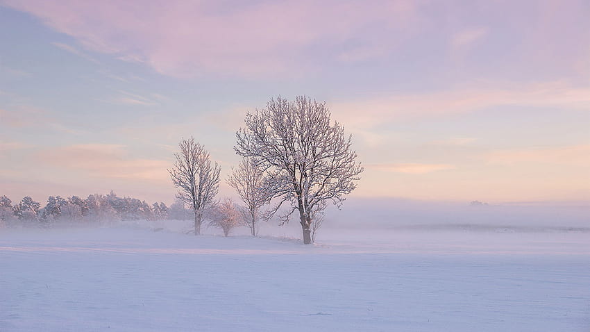 Capturer des paysages d'hiver dans des teintes pastel de rêve Fond d'écran HD
