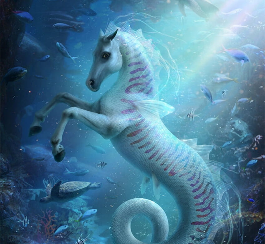 Seahorse, summer, l saveljeva, blue, fantasy, water, vara HD wallpaper