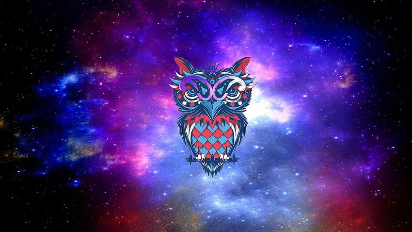 owl, Drawing / and Mobile Background, Purple Owl HD wallpaper