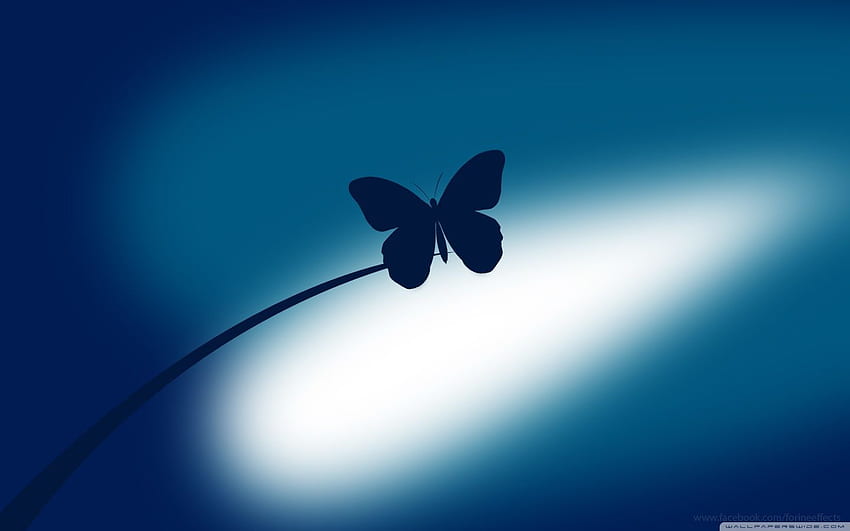 Butterfly backgrounds for laptop HD wallpapers | Pxfuel