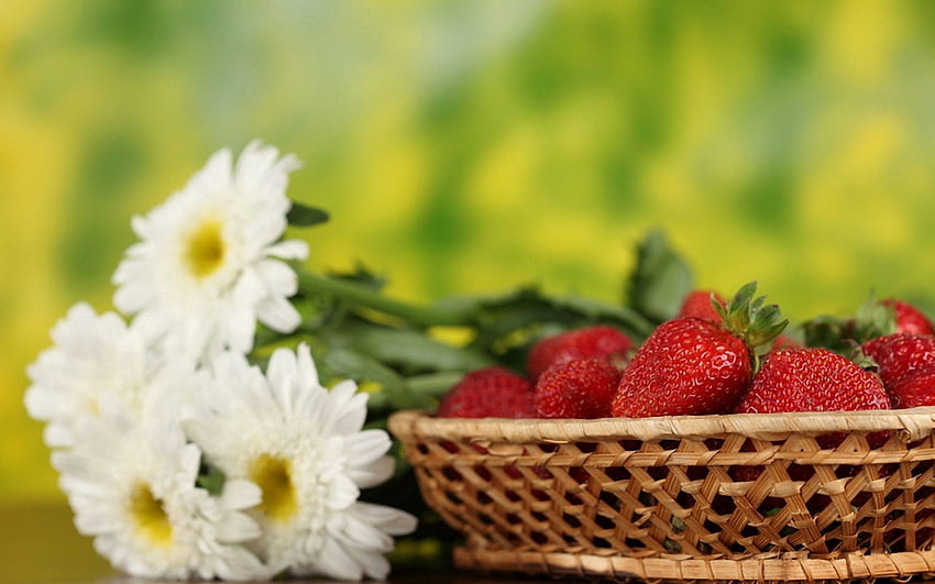 Blumen, Essen, Erdbeere, Beeren, Korb HD-Hintergrundbild