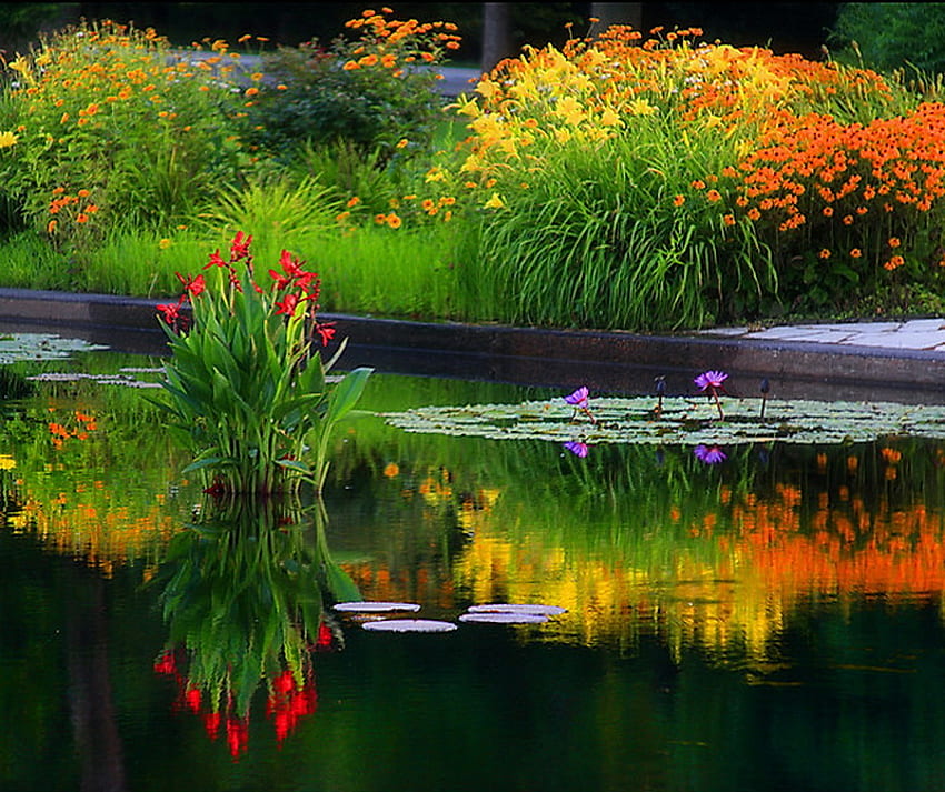 Sonbahar göleti, çim, altın, turuncu, yansımalar, sarı, kırmızı, çiçekler, su, gölet HD duvar kağıdı