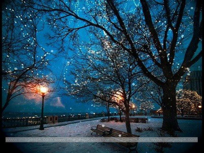 Winter Night Scenes, Amazing Night Scenery HD wallpaper