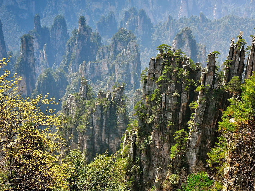 Zhangjiajie güzel doğal manzara, kayalık dağ kayalıkları, Çin HD duvar kağıdı