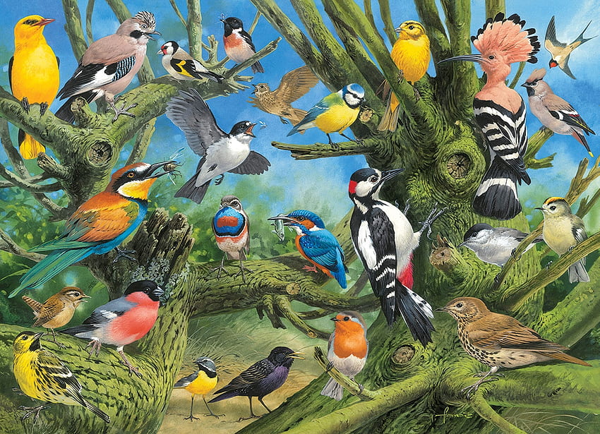 Birds, colorful, bird, art, pasare, woodpecker, painting, blue tit, pictura, green, luminos HD wallpaper