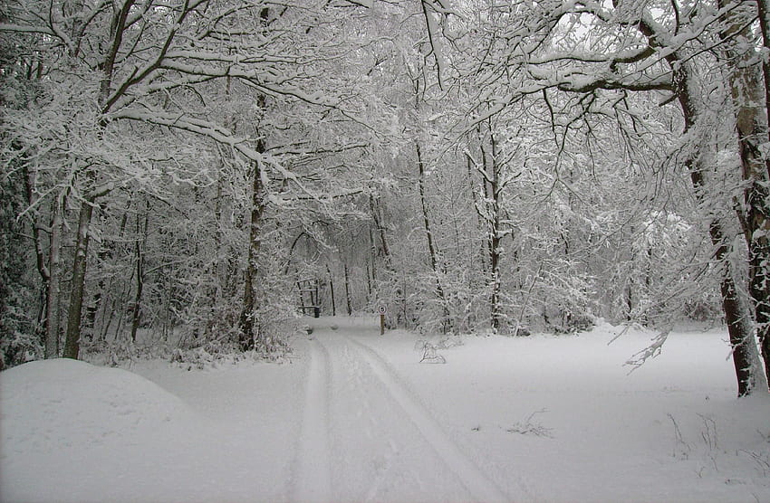 Paisaje nevado. siguiente anterior Escenas de invierno, Naturaleza, Naturaleza fondo de pantalla