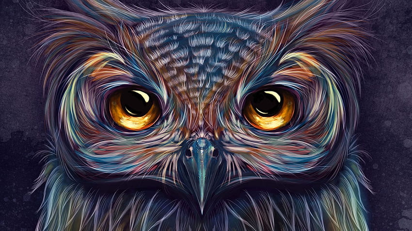 Owl Colorful Art Laptop Full HD wallpaper