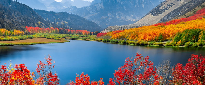 Есенни дървета, езеро, планинска верига, ден, пейзаж, природа, есенна панорама HD тапет
