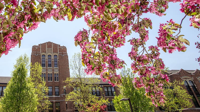Connect. Interact. Fire Up!. Central Michigan University, Michigan Spring HD wallpaper