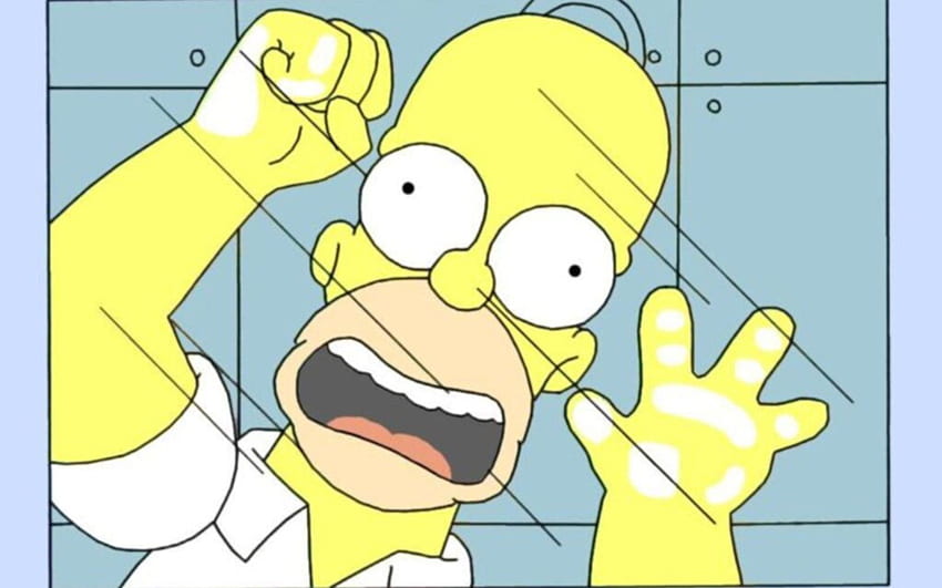 humor, funny, Homer Simpson, The Simpsons HD wallpaper