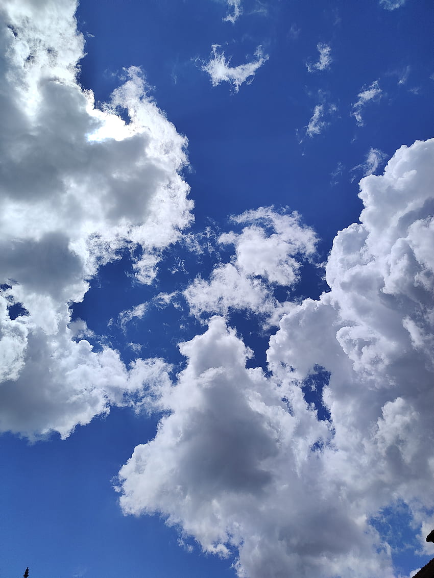 CIELO, nube, naturaleza fondo de pantalla del teléfono