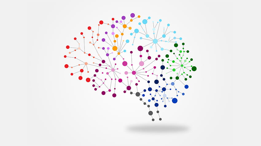 Services - Stradwick Psychology & Neurofeedback Clinic, Psychology Brain HD wallpaper