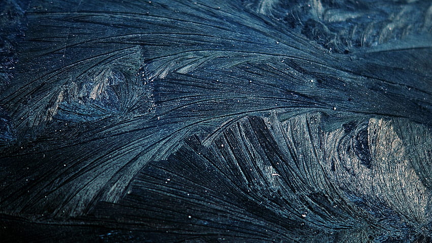 pattern, frost, cold, twigs Full HD wallpaper