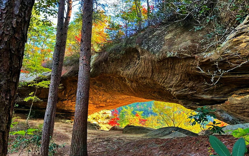 Herbstfarben vom Star Gap Arch in Kentuckys Red River Gorge, Herbst, Bäume, Farben, Landschaft, Felsen, Berge, USA HD-Hintergrundbild