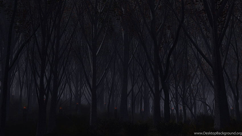 Haunted Forest, Horror Forest HD wallpaper