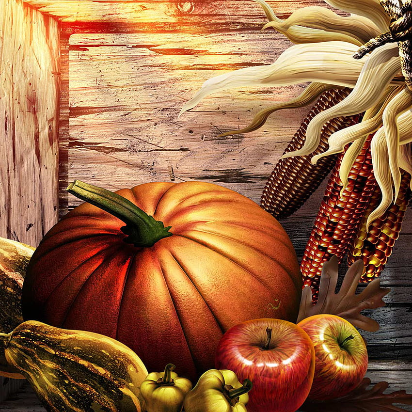 Thanksgiving for iPad: Bumper Harvest, Harvest Festival HD phone ...